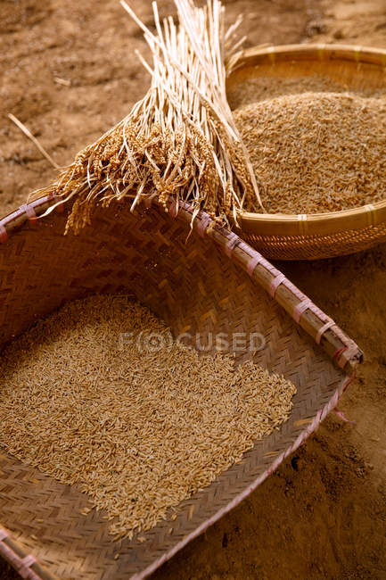 Высокий угол обзора сухих растений и корзин из коричневого риса — стоковое фото