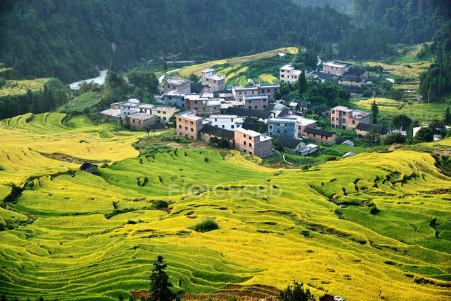 Высокоугольный вид на красивую террасу холма графства, провинция Гуандун, Китай — стоковое фото