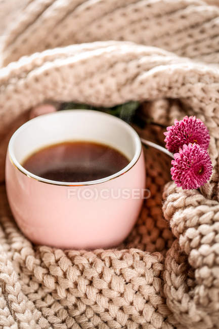 Primer plano vista de sano té de hierbas orgánicas wityh flores de color rosa - foto de stock