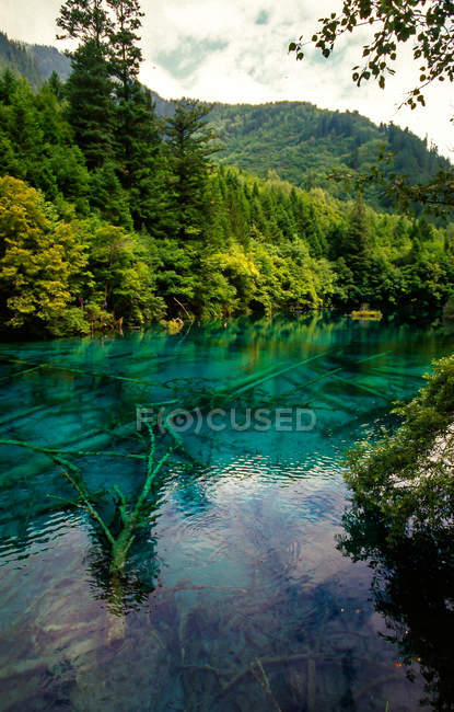 Erstaunliche Landschaft mit ruhigem blauen See und grüner Vegetation in den Bergen, Jiuzhaigou Provinz, Sichuan Provinz, China — Stockfoto