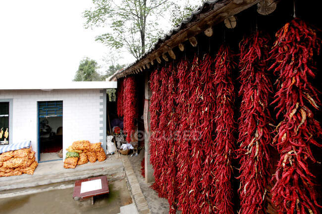 Comté de Lushi de la province du Henan poivron rouge sec, Chine — Photo de stock