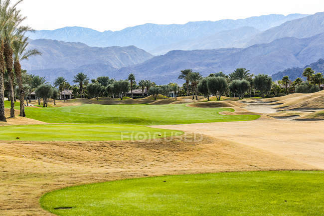 Дивовижний зелений газон на полі для гольфу в сонячний день — стокове фото