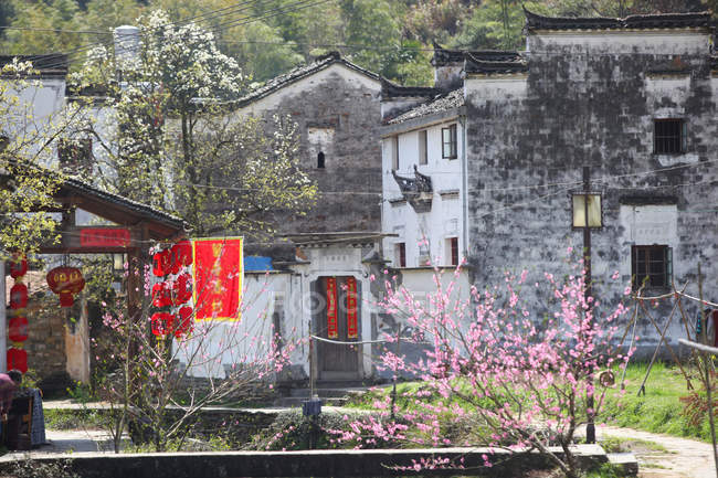 Jiangxi Qingyuan residenza con lanterne rosse cinesi e alberi in fiore — Foto stock