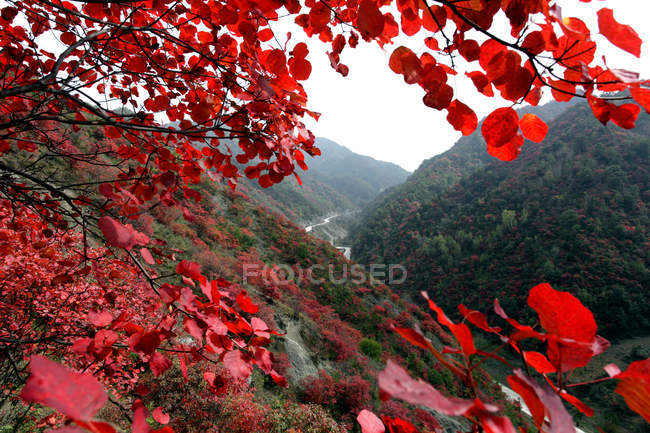 Paisaje de otoño en el condado de Lushi de la provincia de Henan, China - foto de stock