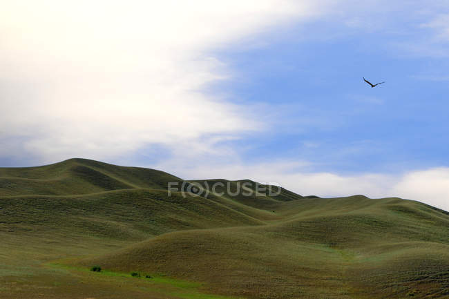 Paesaggio incredibile con colline panoramiche coperte di erba verde a Xinjiang, Cina — Foto stock