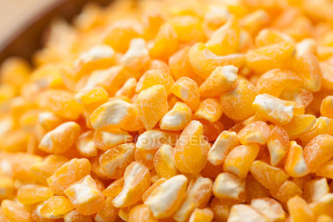 Крупним планом вид стиглого жовтого зерна кукурудзи, селективний фокус — стокове фото