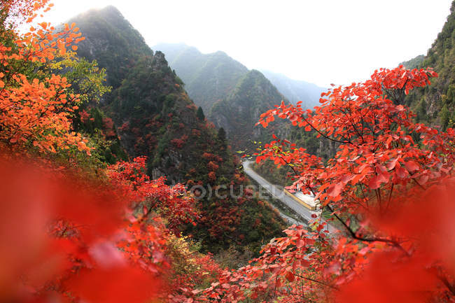 Осенний пейзаж в округе Луши провинции Хэнань, Китай — стоковое фото