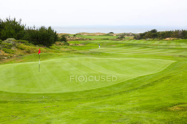 Bandeira de golfe na grama — Fotografia de Stock