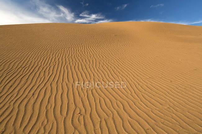 Beautiful desert scenery of Inner Mongolia, China — Stock Photo