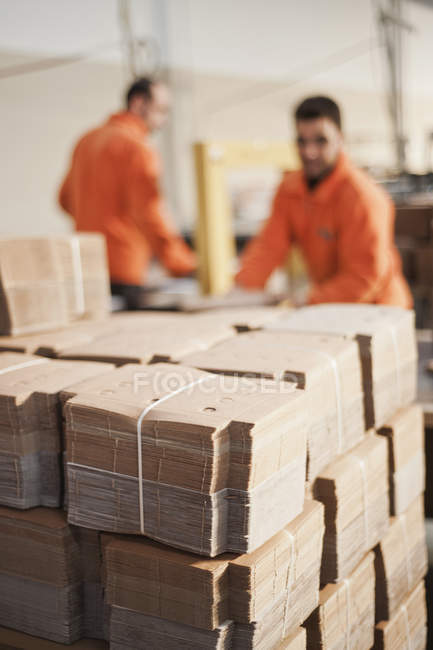 Cardboard packaging production — Stock Photo