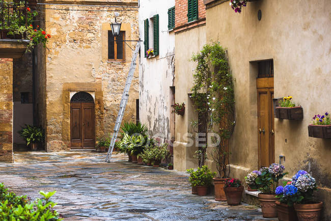 Blumige Straßen an einem regnerischen Frühlingstag in einem kleinen magischen Dorf — Stockfoto