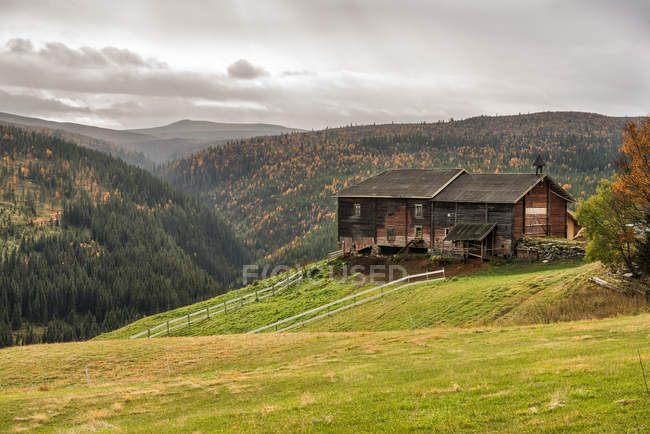 Ripostiglio in autunno vicino al Parco Nazionale di Rondane, Norvegia — Foto stock