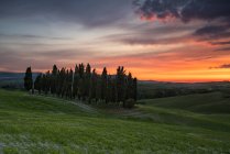 Campagne au coucher du soleil, Val d'orcia, Toscane, Italie, Europe — Photo de stock