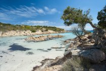 Plage de Spiaggia del Principe, Costa Smeralda, Arzachena, Sardaigne, Italie, Europe — Photo de stock
