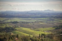 Countryside near Siena, Tuscany, Italy, Europe — Stock Photo