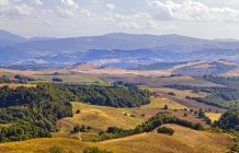 Landschaft um Montepulciano, Toskana, Italien, Europa — Stockfoto