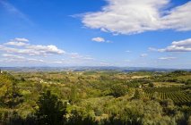 Campo em torno de San Gimignano, Toscana, Itália, Europa — Fotografia de Stock