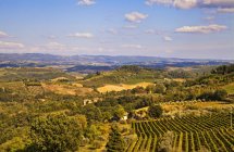 Landschaften um san gimignano, toskana, italien, europa — Stockfoto