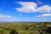Countryside around San Gimignano,Tuscany, Italy, Europe — Stock Photo