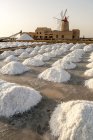 Saltworks, Saline of Trapani, windmill, nature reserve, Stagnone of Marsala, Sicily, Italy, Europe — Stock Photo
