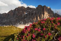 Civetta parete nord, Dolomiti, Alleghe, Veneto, Italia — Foto stock