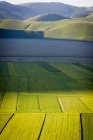 Blühende landschaft mit monte vettore im hintergrund, piana grande tal, castelluccio di norcia, umbrien, italien — Stockfoto