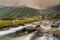 Torrent on a cloudy day, Alpi Marittime Natural Park, Gesso Valley, Piedmont, Italy — Stock Photo