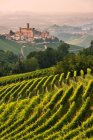 Castelo e vinha no verão, Castiglione Falletto, Langhe, Piemonte, Itália — Fotografia de Stock