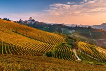 Autumnal color at Serralunga d'Alba, Langhe, Piedmont, Italy — Stock Photo