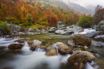 Herbstliche Farben im Gesso-Tal, Naturpark Alpi Marittime, Gesso-Tal, Piemont, Italien — Stockfoto