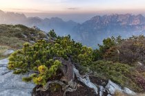 Uno sguardo verso Monti del Sole a destra e Schiara a sinistra dal mont Celo. Agordino, Parco Nazionale Dolomiti Bellunesi, Veneto, Italia — Foto stock