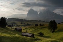 Temprano en la mañana en el Alpe di Siusi / Seiser Alm. En el fondo los picos de Sella, Sassolungo / Langkofel y Sassopiatto / Plattkofel, Alpe di Siusi, Dolomites, Trentino-Alto Adige, Italia - foto de stock