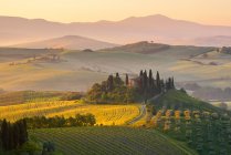 Agriturismo Belvedere all'alba, Val d'Orcia (Val d'Orcia), Patrimonio Mondiale UNESCO, Toscana, Italia, Europa — Foto stock