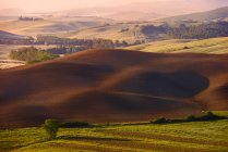 Fallow field, Orcia Valley (Val d 'Orcia), UNESCO World Heritage Site, Tuscany, Italy, Europe — стоковое фото