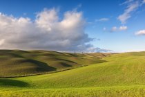 Countryside, Orcia Valley (Val d 'Orcia), UNESCO World Heritage Site, Tuscany, Italy, Europe — стоковое фото