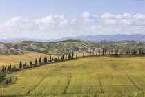 Il cielo azzurro incornicia le verdi colline e i tipici cipressi delle Crete Senesi Toscana, Italia, Europa — Foto stock