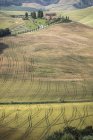 The curved shapes of the multicolored hills of the Crete Senesi (Senese Clays) Tuscany, Italy, Europe — Stock Photo