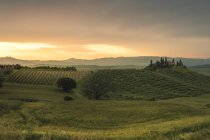 Sonnenaufgang auf den sanften grünen Hügeln, Orcia-Tal (val d 'orcia), UNESCO-Weltkulturerbe, Toskana, Italien, Europa — Stockfoto