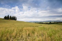 Des nuages encadrent les douces collines verdoyantes de la Val d'Orcia, vallée d'Orcia (Val d'Orcia), patrimoine mondial de l'UNESCO, Toscane, Italie, Europe — Photo de stock