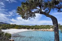 Spiaggia Capriccioli, Costa Smeralda, Arzachena, Gallura, Sardinia, Italy, Europe — стокове фото