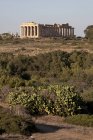Tempio di Era, Selinunte, sito archeologico, paese di Castelvetrano, Sicilia, Italia, Europa — Foto stock