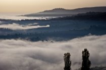Nevoeiro, Paisagem, Apiro, Macerata, Marche, Itália, Europa — Fotografia de Stock