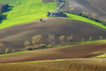 Countryside, Landscape, Recanati, Marche, Itaaly, Europe — Stock Photo