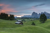 Salida del sol en los pastos de Alpe di Siusi / Seiser Alm. En el fondo los picos Sella, Sassolungo / Langkofel y Sassopiatto / Plattkofel, Alpe di Siusi, Dolomites, Trentino-Alto Adige, Italia - foto de stock