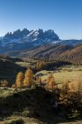 Otoño en Fuciade. En el fondo los picos de Pala di San Martino, Fuciade, Dolomitas, Trentino-Alto Adigio, Italia - foto de stock
