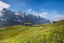 La pared del Sella, Passo Gardena, Dolomitas, Tirol del Sur, Italia - foto de stock