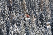 Pal hutte, Malenco valley, Lombardia, Itália — Fotografia de Stock
