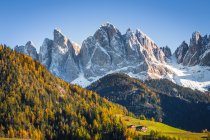 Autumnal Colors, Santa Maddalena, Funes Valley, Trentino-Alto Adige, Itália — Fotografia de Stock