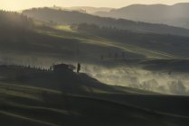 Landschaft, san quirico d 'orcia, val d' orcia, toskana, italien, europa — Stockfoto