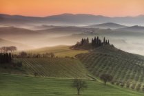 Podere Belvedere landscape, San Quirico d 'Orcia, Val d' Orcia, Tuscany, Italy, Europe — стоковое фото